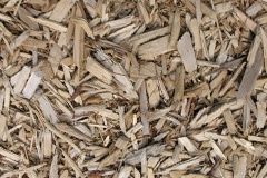biomass boilers Capel Coch